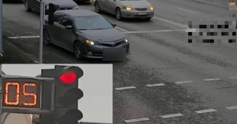 Водитель 155 раз нарушил ПДД в Жамбылской области