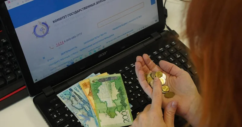 Могут ли налоговики помочь казахстанским предпринимателям