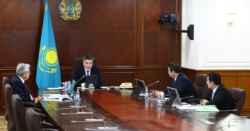 Мал саны өсті, алайда саланың әлеуеті әлі толық ашылған жоқ Үкімет жиыны