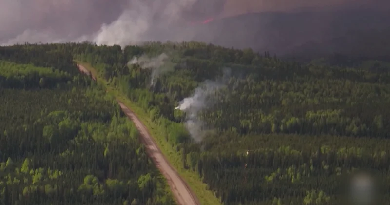 Чилиде орман өртінен 18 адам қаза тапты