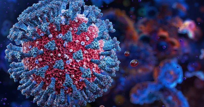 COVID 19 дан сауығып шыққан соң да адам миының микроқұрылымы өзгереді ғалымдар