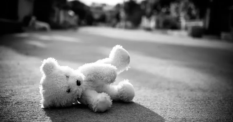 Девочка погибла в пожаре в СКО: полиция возбудила уголовное дело в отношении матери