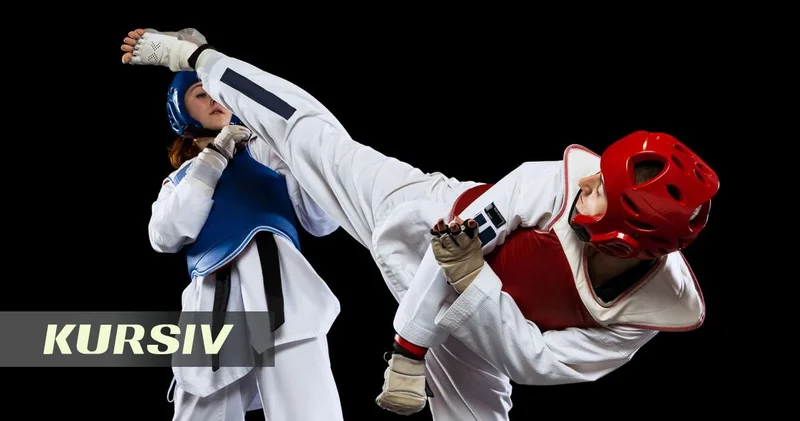 South Korea plans joint taekwondo UNESCO bid following North Korea