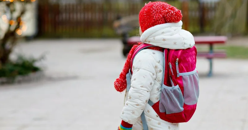 Павлодарку оштрафовали за то, что ее шестилетняя дочь укусила учителя
