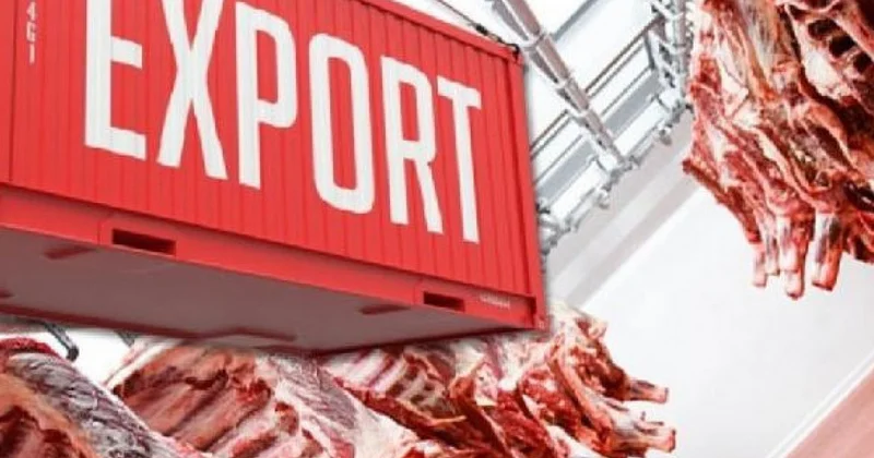 Ет экспорты екі есе өседі: Үкімет мал шаруашылығына арналған ірі жоспарды бекітті