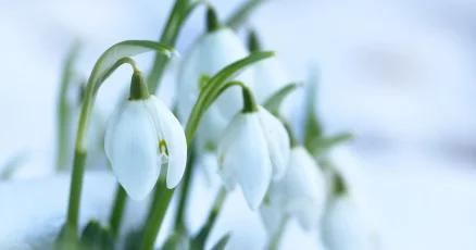 Повышение температуры до +22°С ожидается в Таразе