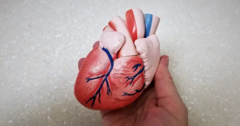 Мужчина выставил почку на продажу за 13 млн тенге в Туркестане