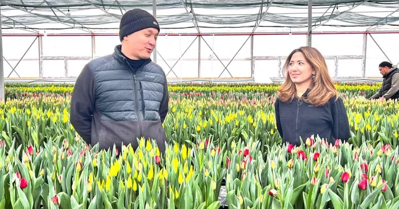 Вестники солнца и радости