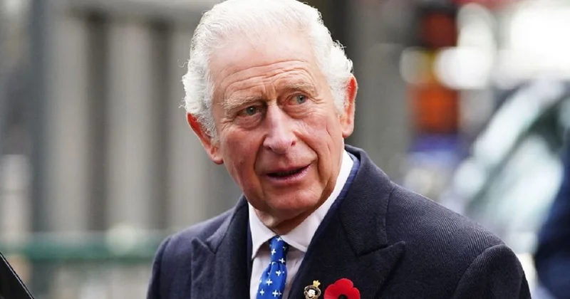 Король Великобритании Карл III сделал первое заявление после задержания младшего брата
