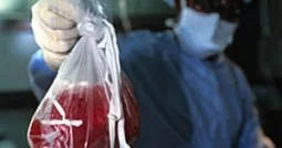 Түркістан облысының тұрғыны бүйрегін 13 млн теңгеге сатпақ болған