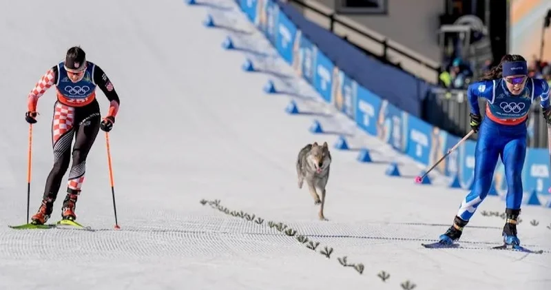 Олимпиада 2026: мәреге спортшылармен бірге жүгіріп жеткен ит көрермендерді тәнті етті