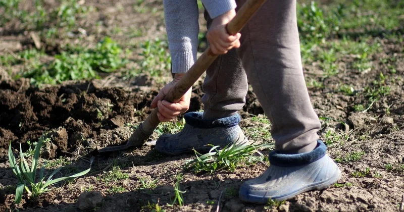 Дошло до эксгумации: две семьи делят одну могилу в Караганде