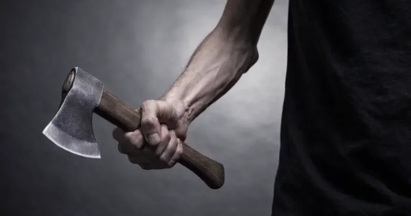 Прозевали эту ситуацию Кожаев о нападении школьника с топором в Кульсары