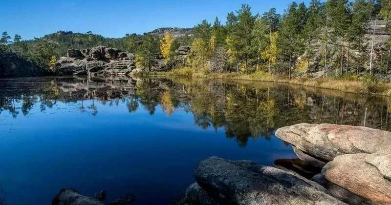 Ближе к природе с комфортом