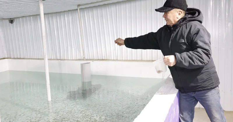 Балық өсіру бәсі жоғары шаруашылық