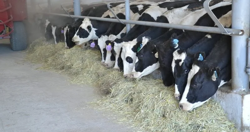 Ақтөбеде әлі де 18 кәсіпорын жұмысы тоқтап тұр