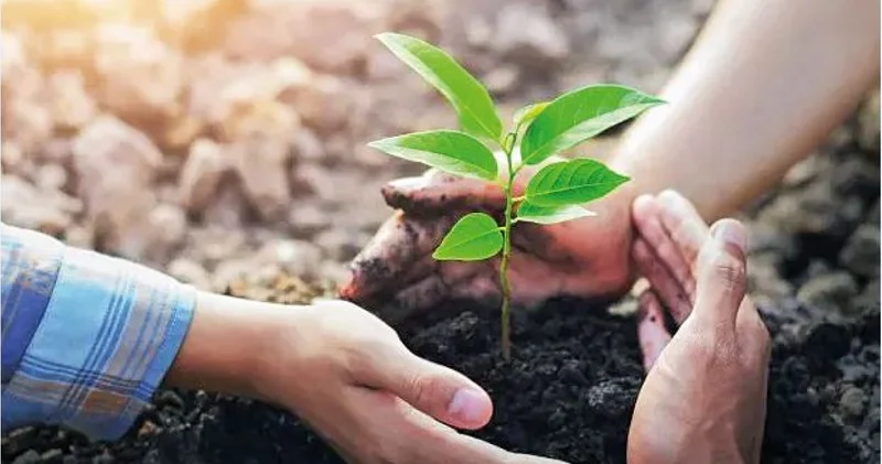 Жаңару тазалыққа бастаған толғаныс