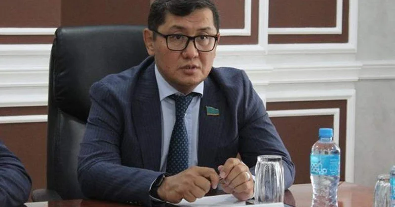 Депутат энергия қауіпсіздігі саласындағы кемшіліктерді атады