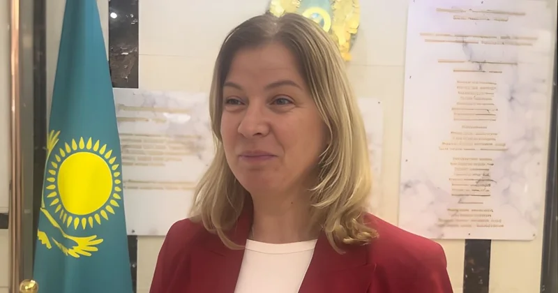 Алешка Симкич: Конституция халық таңдауы