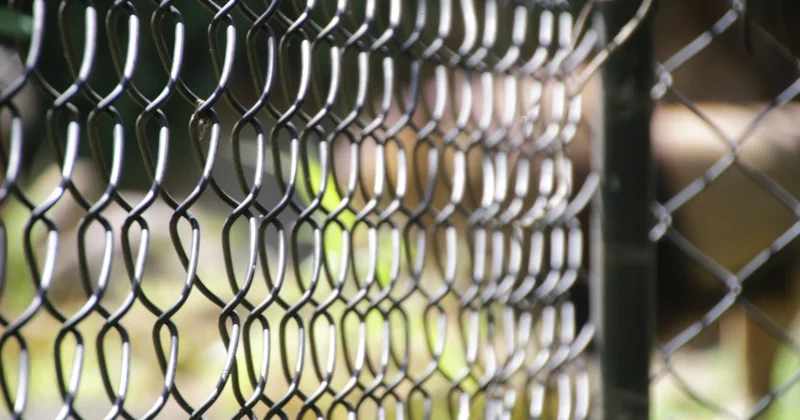 Стример несколько дней провел в собачьей клетке ради денег