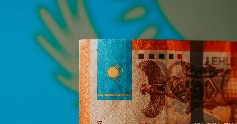 Салықшылар кірістері мен шығыстары сәйкес келмейтіндерді тексеріп жатыр