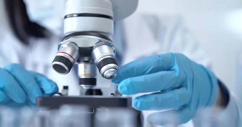 Существенного экономического эффекта пока нет : Токаев о казахстанских научных разработках