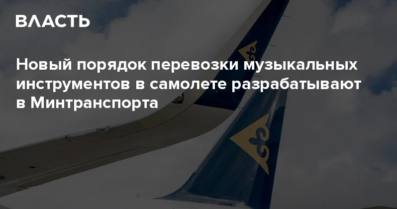 Новый порядок перевозки музыкальных инструментов в самолете разрабатывают в Минтранспорта Аналитический интернет журнал Власть