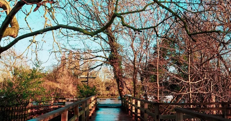 Весеннее тепло: до +16 градусов пообещали в Алматы