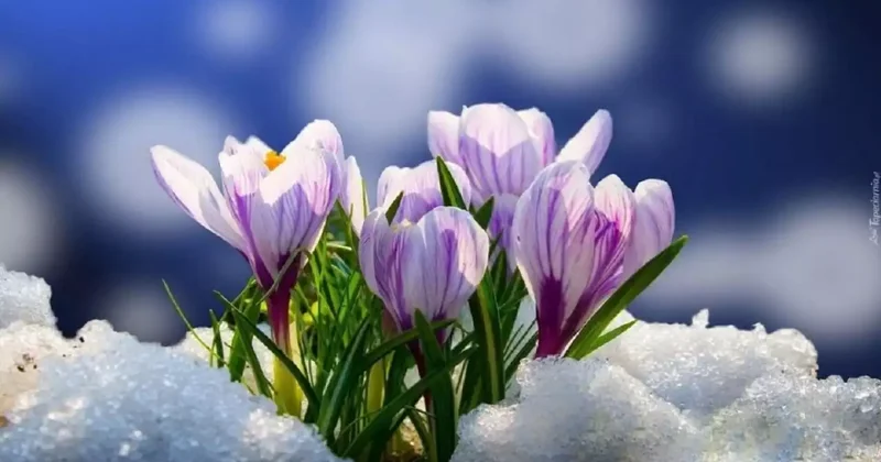 19 наурызда ел аумағында күн ашық болады