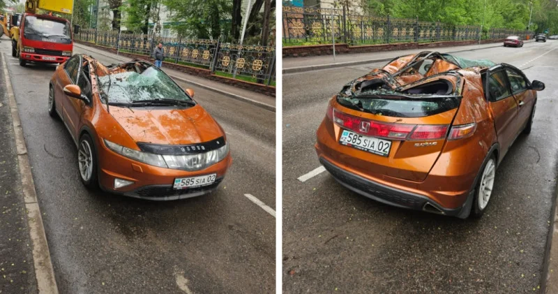 Алматы көшесінде ағаш автокөліктің үстіне құлады