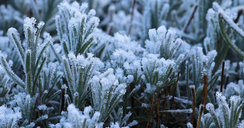 Синоптиктер ескерту жариялады: Бірқатар облыста үсік жүреді