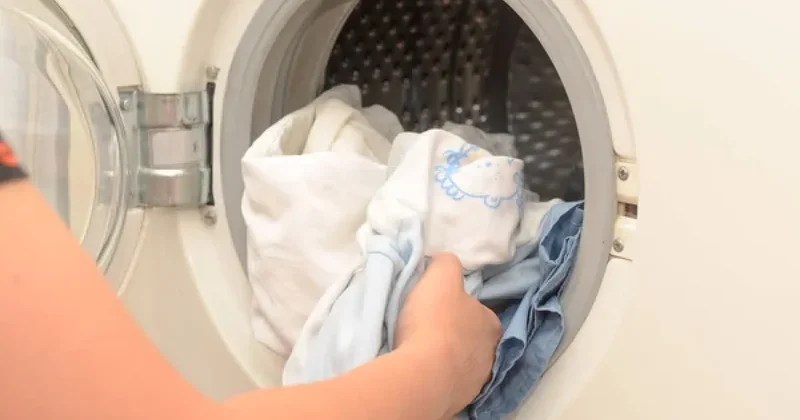 Шокирующий инцидент с гибелью котенка в стиральной машине обсуждают в Казнете