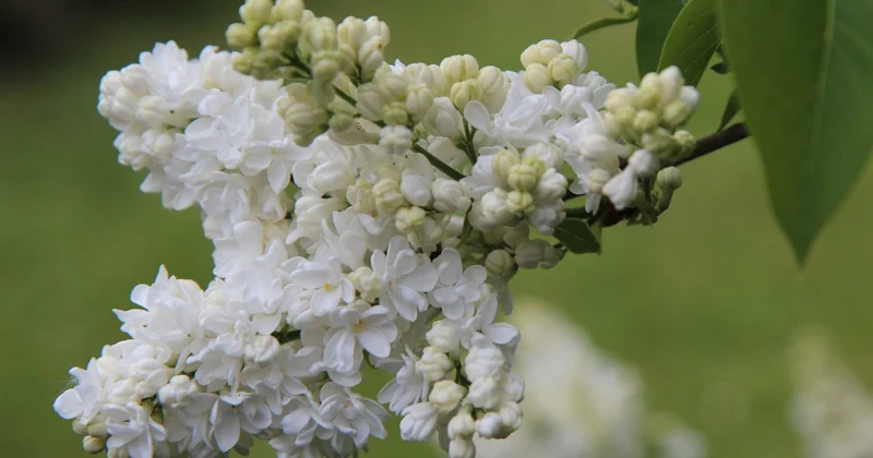 Какая погода ждет жителей Алматы