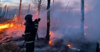 ТЖМ құтқарушылары орманды алапат өрттен қорғап қалды