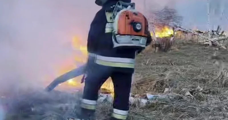 Природный пожар перекинулся на лес в СКО