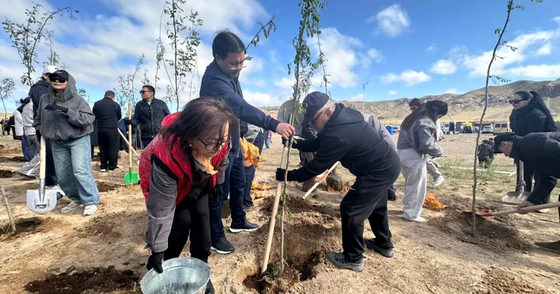 Көшпенділер қалашығында 500 түп ағаш егілді