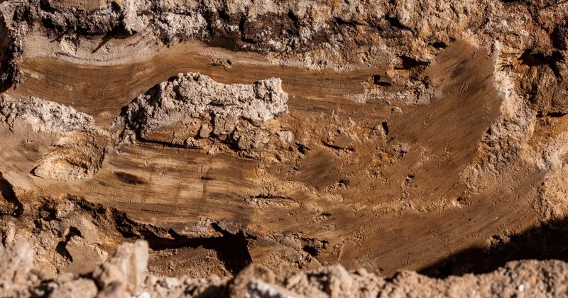 Карагандинские спасатели вытащили двух девочек из грязевой ловушки (ВИДЕО)