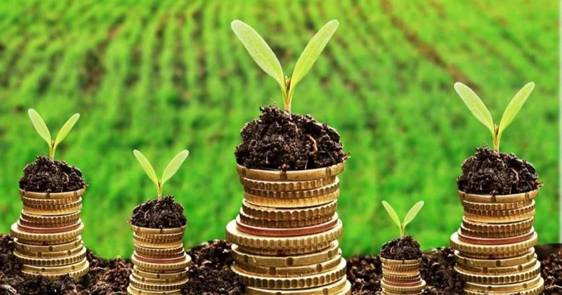 Жетісу облысында 256 фермерге 8,2 млрд теңге жеңілдетілген несие берілген