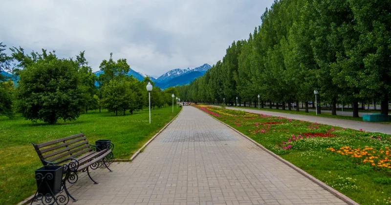 Заражённого клеща нашли в парке первого президента в Алматы
