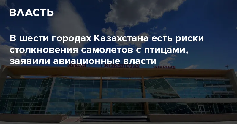В шести городах Казахстана есть риски столкновения самолетов с птицами, заявили авиационные власти Аналитический интернет журнал Власть