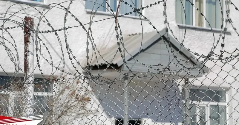 Жителя Щучинска отправили в колонию за ложные показания в суде