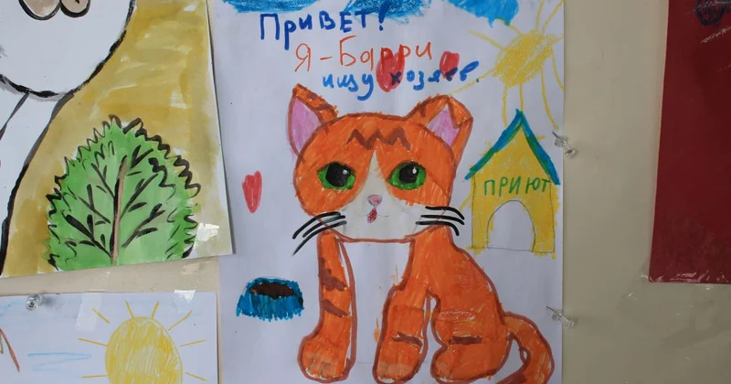 У дружбы четыре лапы