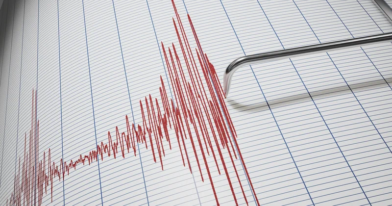 Қазақстандық сейсмологтар Қытайда екі жер сілкінісін тіркеді