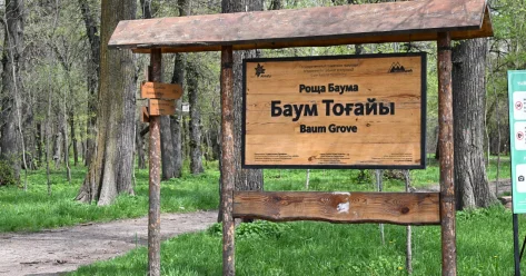 О новшествах при реконструкции рощи Баума рассказали в акимате
