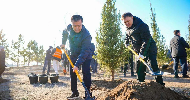 Более 1 млн зеленых насаждений высадят в Астане в текущем году