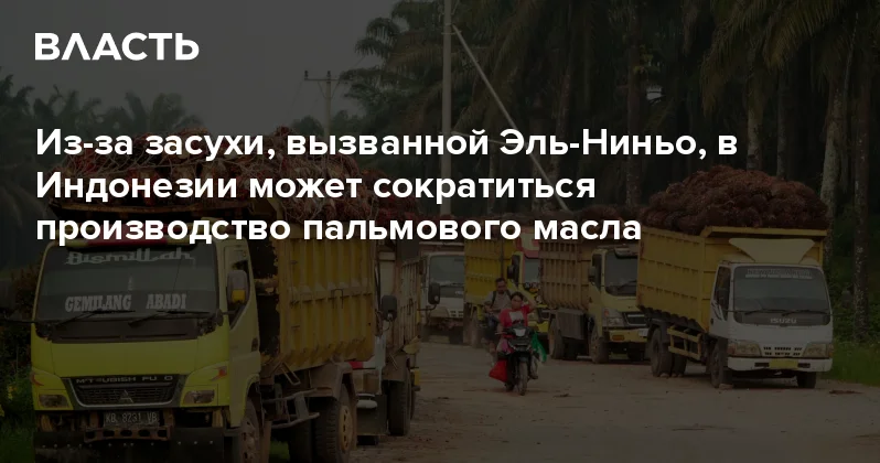 Из за засухи, вызванной Эль Ниньо, в Индонезии может сократиться производство пальмового масла Аналитический интернет журнал Власть