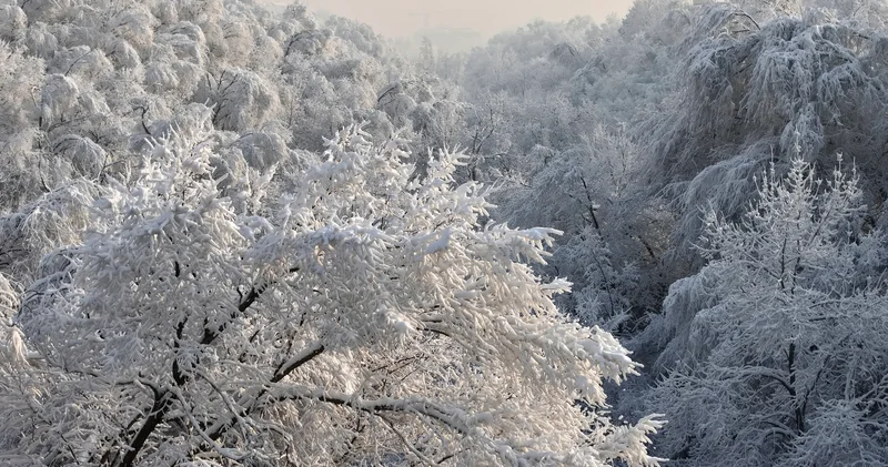 +25°С тан 18°С қа дейін, қар аралас жаңбыр мен боран: Қазақстанда қыста ауа райы қандай болады