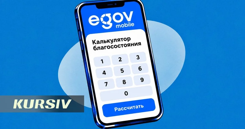 По калькулятору я богачка : казахстанцы раскритиковали расчеты благосостояния