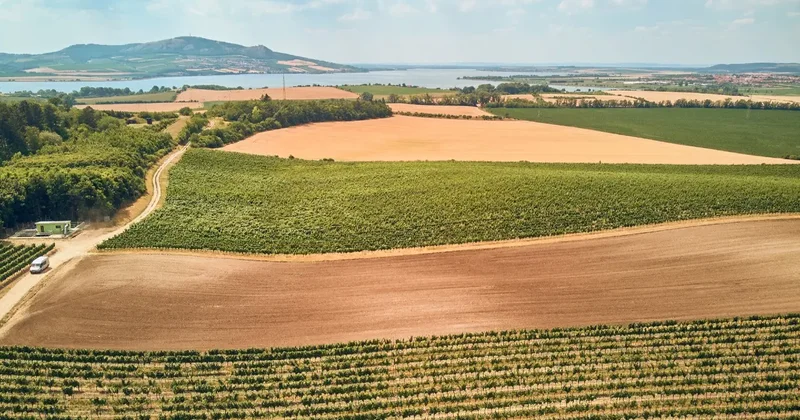 Почти 20 лет жители Алматинской области не могут получить оплаченные земельные участки