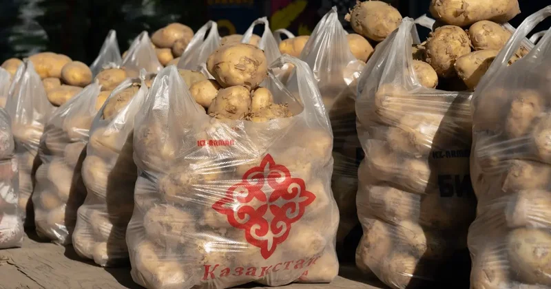Жумангарин о росте цен на картофель: Наши фермеры зарабатывают сейчас на экспорте, и мы им не мешаем